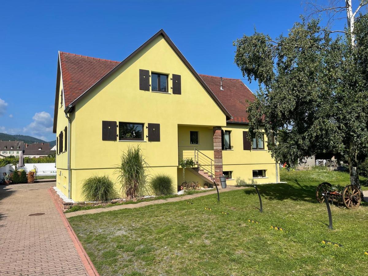 Alsacebnb - Gite 12 Personnes Dans Le Vignoble - Piscine Privee & Spa Ammerschwihr Eksteriør billede