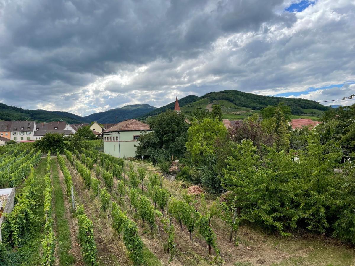 Alsacebnb - Gite 12 Personnes Dans Le Vignoble - Piscine Privee & Spa Ammerschwihr Eksteriør billede