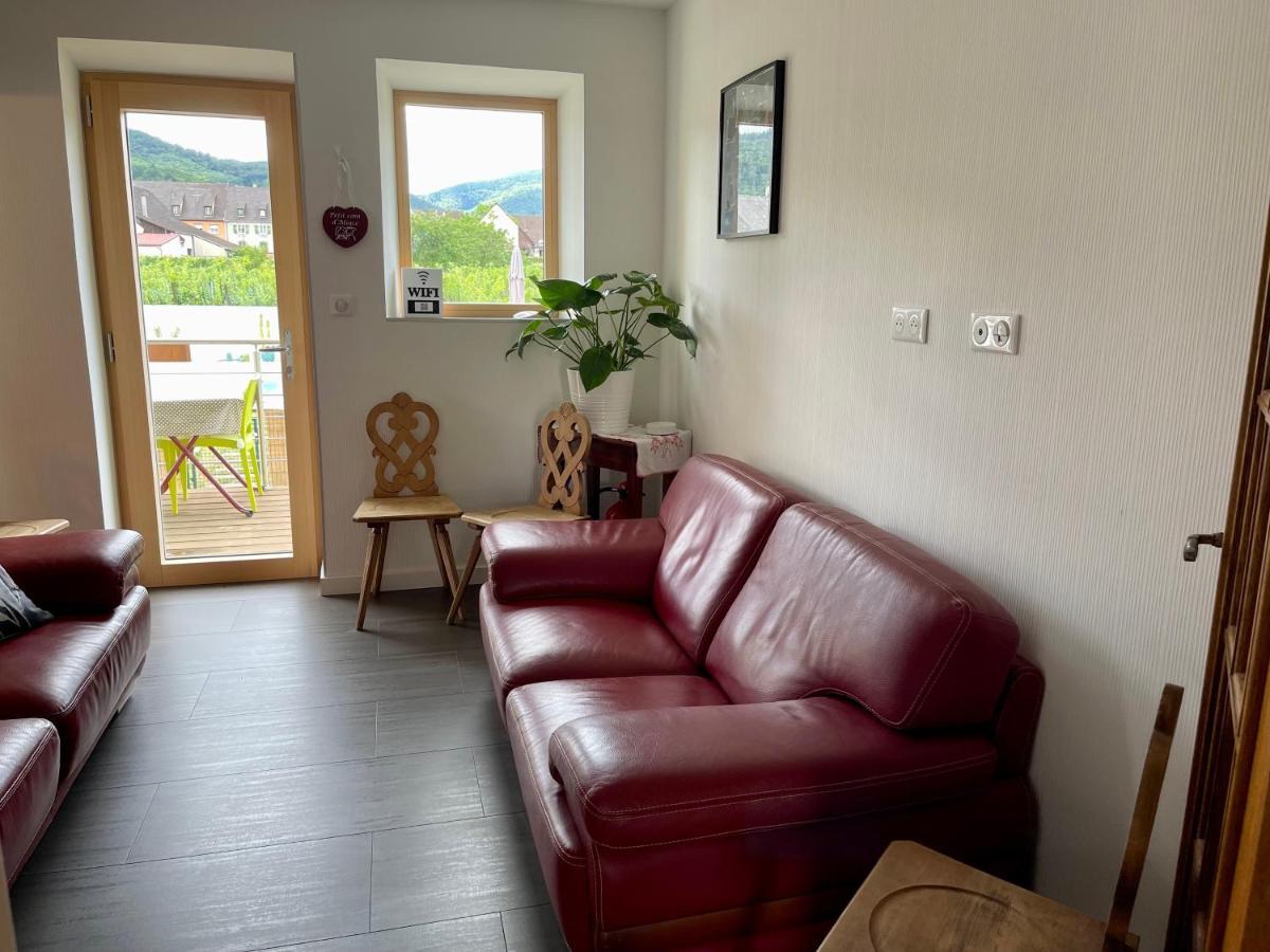 Alsacebnb - Gite 12 Personnes Dans Le Vignoble - Piscine Privee & Spa Ammerschwihr Eksteriør billede