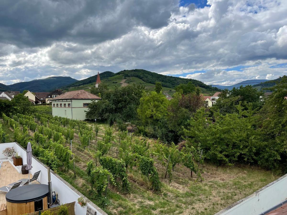 Alsacebnb - Gite 12 Personnes Dans Le Vignoble - Piscine Privee & Spa Ammerschwihr Eksteriør billede